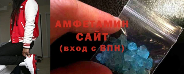 индика Богородск