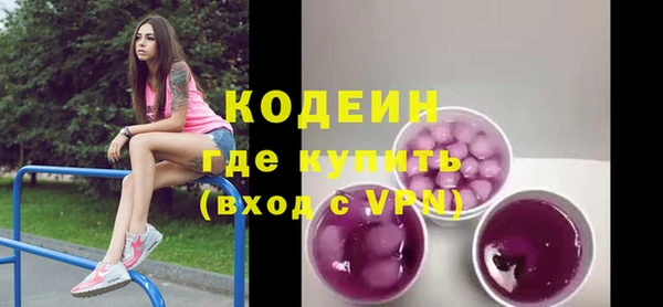 индика Богородск