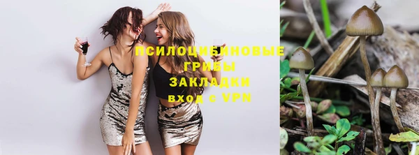 индика Богородск