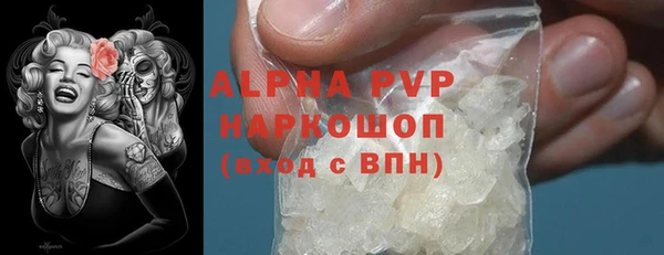 индика Богородск