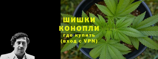 амф Богородицк
