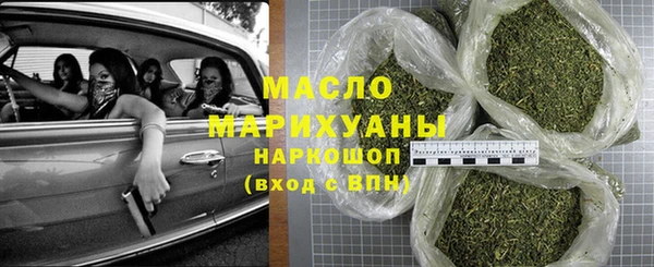 индика Богородск