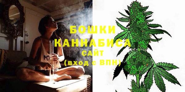 гашик Богданович