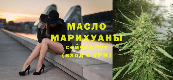 индика Богородск